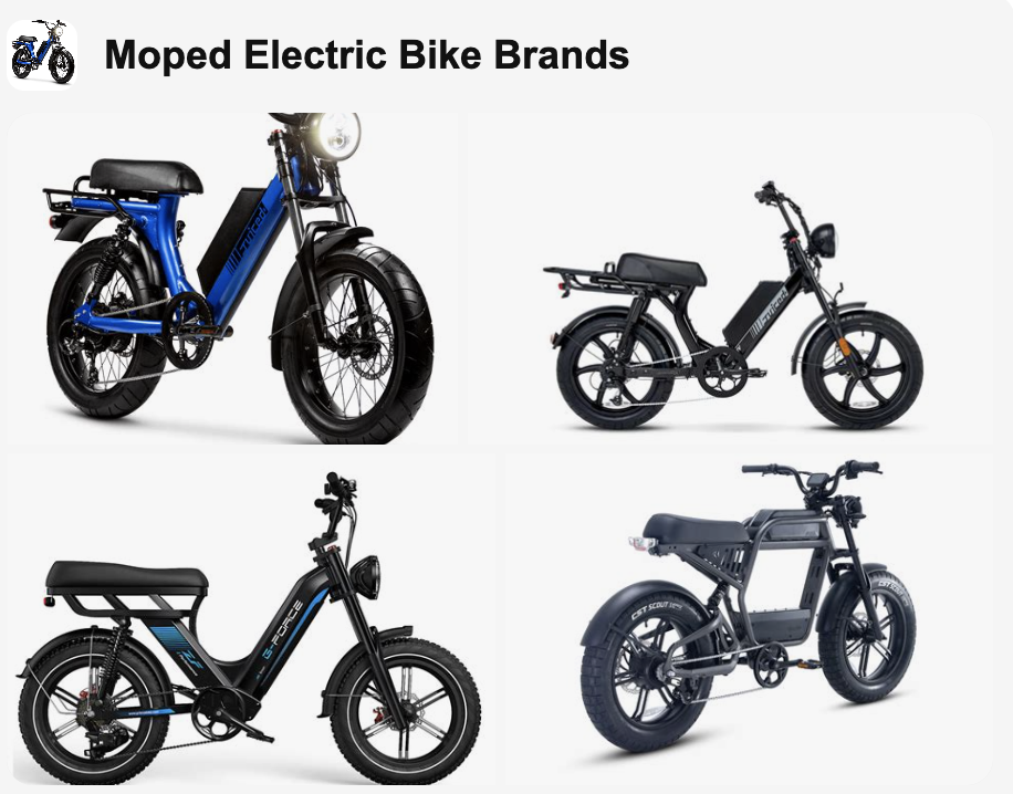 Electric Bike