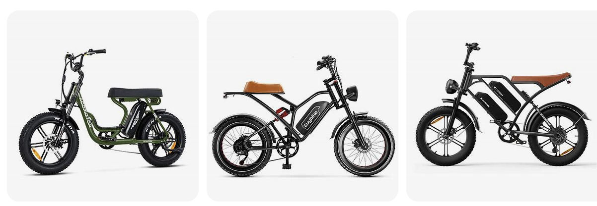 Electric Bike