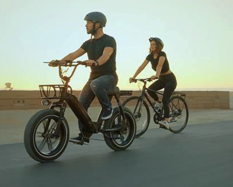 Electric Bike
